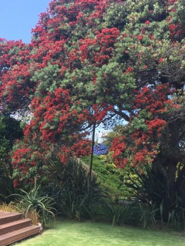 Absolute Waterfront Serenity Near Auckland Clarks Beach Extérieur photo