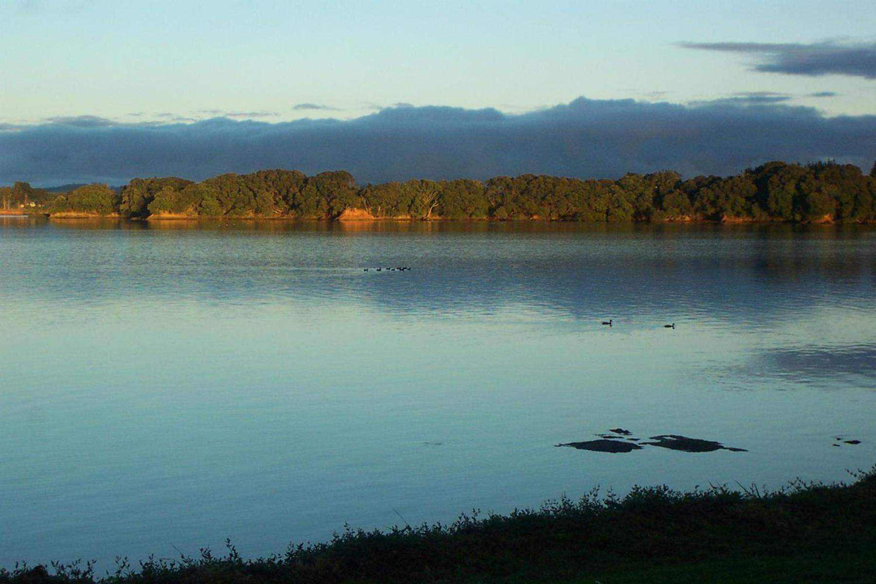 Absolute Waterfront Serenity Near Auckland Clarks Beach Extérieur photo